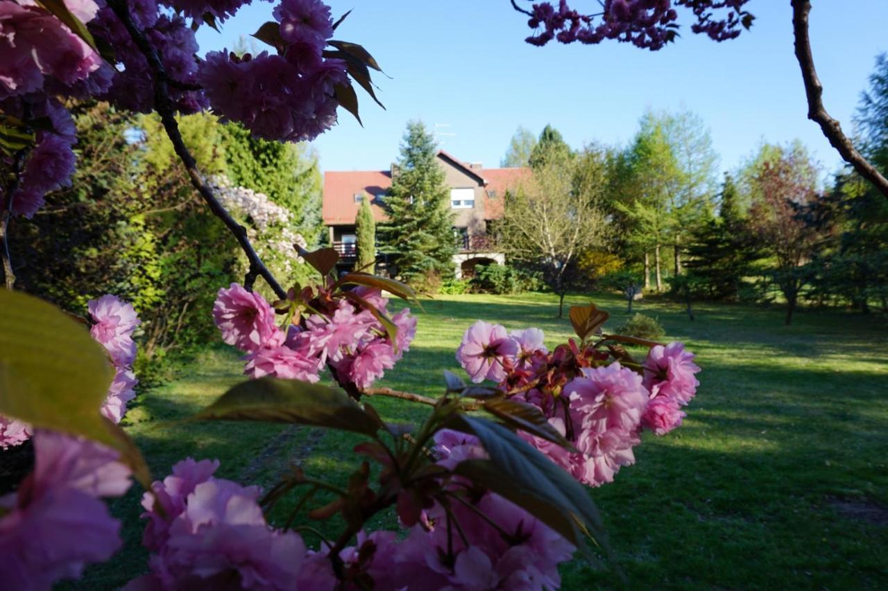 Insko Home & Sauna Kültér fotó